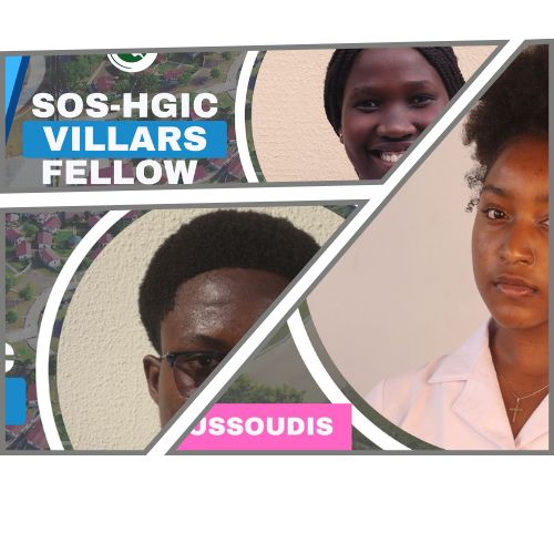 Celebrating Our SOS-HGIC VILLARS FELLOWS!