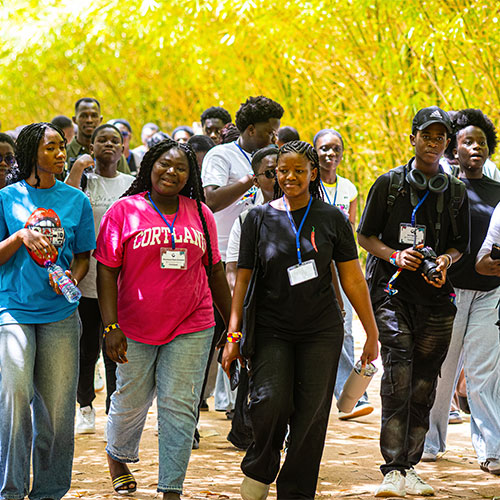 Back to The Roots: The Sankofa Arts Festival 2025